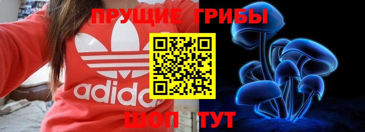 цена наркотик  Вход с VPN  Менделеевск  Псилоцибиновые грибы прущие грибы 
